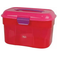 Produktbild von Aufbewahrungsbox York aus Kunststoff in Rosa oder Rot