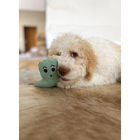Produktbild von Aumüller Hundespielzeug Geist aus Plüsch in Mintgrün mit Quietschfunktion - 1 Stk.