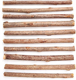 Aumüller Katzensticks Silver Vine Dentalspielzeug zur Zahnpflege für Katzen 10er Set – Bild 1 von 5