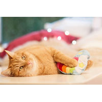 Produktbild von Aumüller Regenbogen Herz Katzenspielkissen aus Plüsch mit Catnip für Katzen