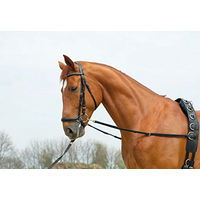 Produktbild von Ausbindezügel BASIC-ELASTIK für Ponys in Schwarz aus Stoff