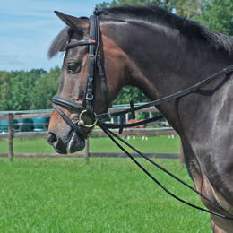 Ausbindezügel und Halsverlängerer aus Gummi in Schwarz Größe S – Bild 1 von 2