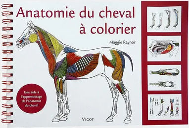 Produktbild von Ausmalbuch Anatomie des Pferdes Vigot