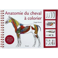 Produktbild von Ausmalbuch Anatomie des Pferdes Vigot