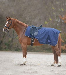 Ausreitdecke Comfort Regendecke für Ponys in Marineblau – Bild 1 von 1