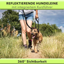 AVANA Hundeleine aus Nylon mit integriertem Kurzführer reflektierend Schwarz – Bild 1 von 10