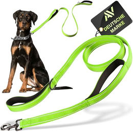AVANA Hundeleine mit integriertem Kurzführer aus Nylon reflektierend Grün 1,5m - 1,5 m – Bild 1 von 7