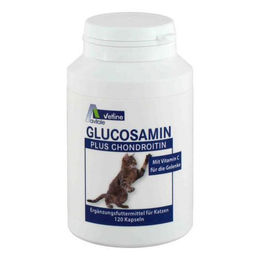 Avitale Glucosamin Chondroitin Kapseln für Katzen zur Unterstützung der Gelenke 120 Stück – Bild 1 von 1