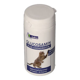 Avitale Glucosamin Plus Chondroitin Vet Kapseln für Tiere 60 Stück – Bild 1 von 1