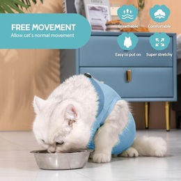 Avont Katzenbody Recovery Anzug aus Modal für Katzen Blau Größe S – Bild 1 von 3