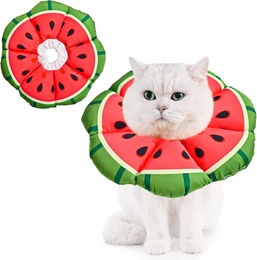 Avont Katzenhalskrause Leckschutz Kragen aus Polyester Wassermelone Blau Bunt Größe S – Bild 1 von 5