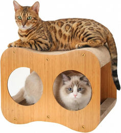 Avont Kratzbaum für Katzen mit 2-in-1 Kratzpappe und gebogenem Design für Indoor-Anwendung – Bild 1 von 1