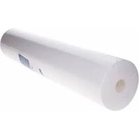 Produktbild von AVT Glasfaser-Sedimentkartusche Big Blue 20" Weiß