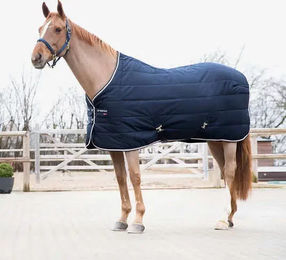 Produktbild von B Vertigo Corey Stalldecke 250 g - 250 g