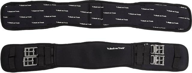 Produktbild von Back on Track Dressurgurt mit Welltex