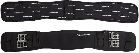 Produktbild von Back on Track Dressurgurt mit Welltex unelastisch