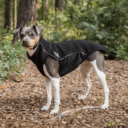Produktbild von Back on Track Eddie Petite Hundepullover