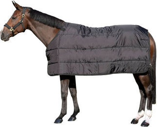 Produktbild von Back on Track Felix Rückeneinsatz Unterdecke - 200 g