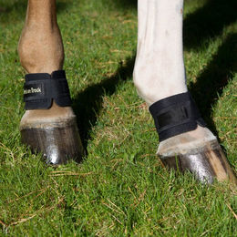 Back on Track Fesselgelenkband L – Bild 1 von 4