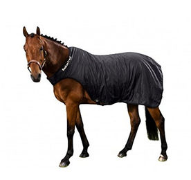 Produktbild von Back on Track Führdecke für Pferd Größe 145 Schwarz
