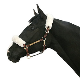 Produktbild von Back on Track Halfterschoner-Set