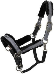 Produktbild von Back on Track Haze Collection Halfter grau Cob