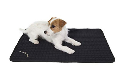 Produktbild von Back on Track Hundematratze Allround