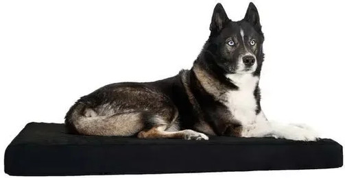 Produktbild von Back on Track Hundematratze Memory-Schaum