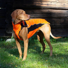 Back on Track Hundepullover Eddie reflektierend - 1 Stk. – Bild 1 von 6