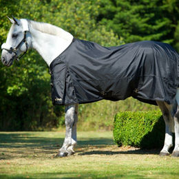 Produktbild von Back on Track Regendecke