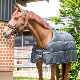 Produktbild von Back on Track Rhyolite Insulated Liner 100g