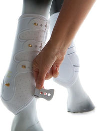 Produktbild von Back on Track Royal Arbeitsgamaschen Vorne Large Weiß