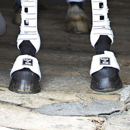 Back on Track Royal Hufglocken Performance – Bild 1 von 2