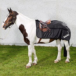 Produktbild von Back on Track Schrittdecke Haze - 145 cm