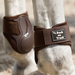 Produktbild von Back on Track Streichkappen Royal ohne Gummizug braun