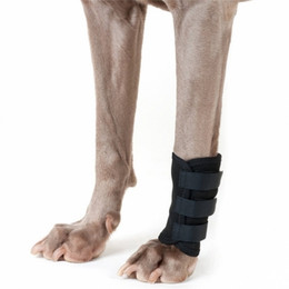 Produktbild von Back on Track Therapeutische Hundegelenkschoner Größe L - 1 Stk.
