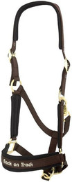 Produktbild von Back on Track Werano Halfter