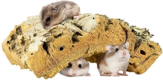 Back Zoo Nature Corky Shelter - Mittel – Bild 1 von 5