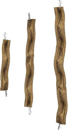 Back Zoo Nature Snake Perch - Large – Bild 1 von 5