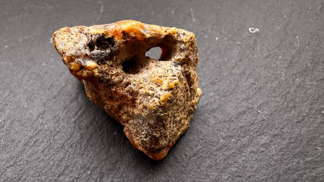 Produktbild von Baltischer Natur Bernstein 7,4g mit Inklusen Rohbernstein Art.2131