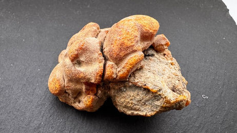 Produktbild von Baltischer Naturbernstein 48,4g Art.2142