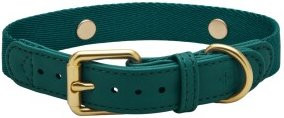 Produktbild von Barkalot Hundehalsband Veganes Leder grün XS