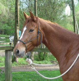 Produktbild von Basic Set