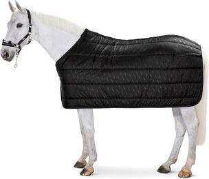 Produktbild von Basic Unterdecke Thermo Poly 220