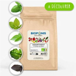 Produktbild von Basilikum Sortiment Bioponis (x5)