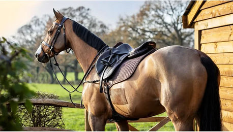 Produktbild von Baumwoll-Sattelunterlage LeMieux Close Contact Square