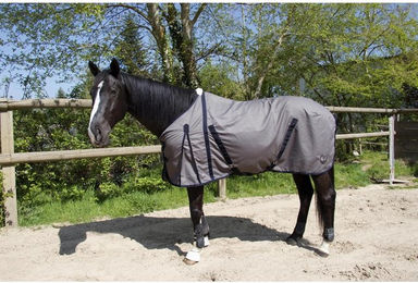 Produktbild von Baumwollhemd für Pferde T de T