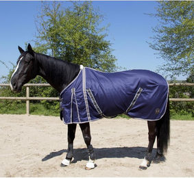 Produktbild von Baumwollhemd für Pferde T de T