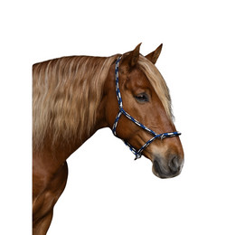 Produktbild von Baumwollstallhalfter oder -reithalfter