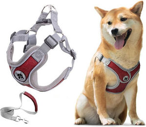 Produktbild von Beaface Hunde-Geschirr Verstellbares Comfort Geschirr mit Leine